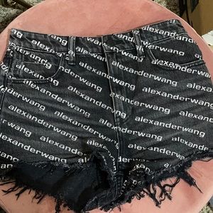 Ash Gray Alexander Wang Shorts